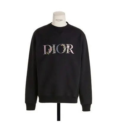 Christian Dior Logo Sweatshirt New with Tag for Men Metroutfits