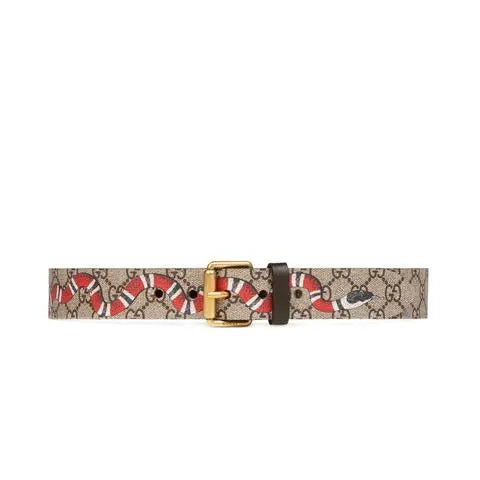 Gucci Canvas Belt King Snake GG Supreme Metroutfits