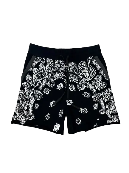 Amiri shorts - CHIC TREAD